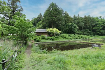 里山の風景