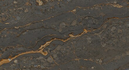 Dark Grey Marble Texture: A close-up shot reveals the intricate veining and texture of dark grey marble, accented with subtle golden hues, creating a luxurious and sophisticated background.