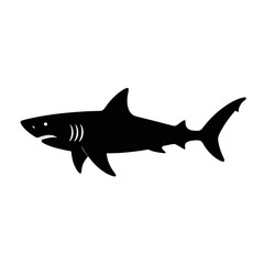 Obraz premium Silhouette of a shark with white details on a black background