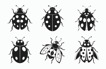 Fototapeta premium Ladybug silhouette, Insect vector, Beetle icon 