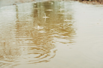 A puddle of water with raindrops falling on it