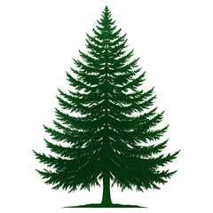 Fototapeta premium Pine Tree Icon Nature PNG