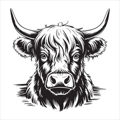 Worried Highland Cow Expression