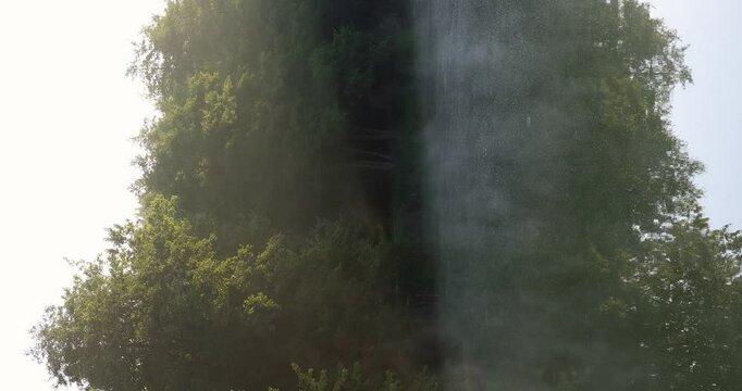 Misty sunrise over a tranquil lake, with soft fog and subtle blue hues reflecting the calm of early morning.