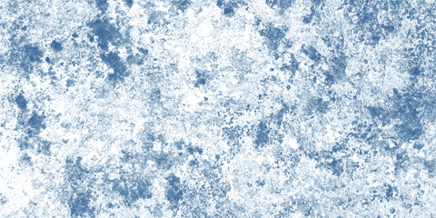 A Quiet Winter Day Captured in Layers of Icy Blue and White

