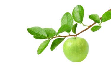 green apple with leaves