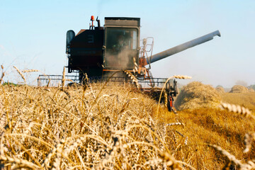 Combine harvester in golden wheat field harvesting crops under clear sky
