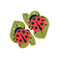 Cute Ladybugs on Green Leaves Flat Vector Illustration