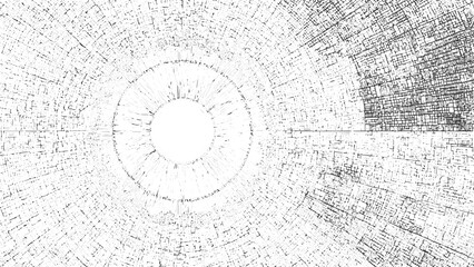 Wood texture cross section of tree rings. Cut slice of wooden stump isolated on white. Textured, Tree wood texture. Wooden old trunk. Cut timber log. Abstract rings nature pattern. 