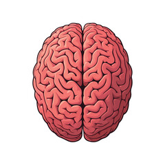 Brain Cartoon Vector Icon Illustration. Education Object Icon Concept Isolated Premium Vector. Flat Cartoon Style illustration vector