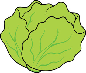 Iceberg Lettuce on White Background Cartoon Vector Illustration