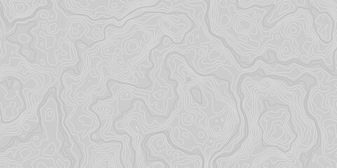 Vector grid map.Topographic contour map on white background.	