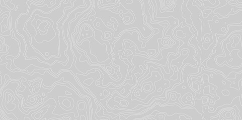 Vector grid map.Topographic contour map on white background.	