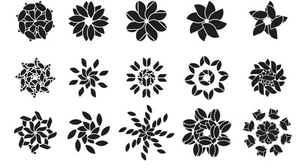 POWER OF REPEAT FLOWERS