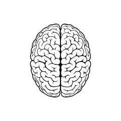 Brain Cartoon Vector Icon Illustration. Education Object Icon Concept Isolated Premium Vector. Flat Cartoon Style illustration vector