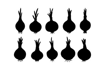 Set of onion bulbs with roots black silhouette vector illustration

