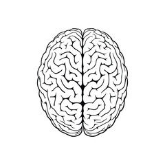 Brain Cartoon Vector Icon Illustration. Education Object Icon Concept Isolated Premium Vector. Flat Cartoon Style illustration vector