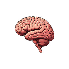 Brain Cartoon Vector Icon Illustration. Education Object Icon Concept Isolated Premium Vector. Flat Cartoon Style illustration vector