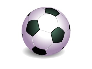 Fototapeta premium Soccer ball or football in various designs 