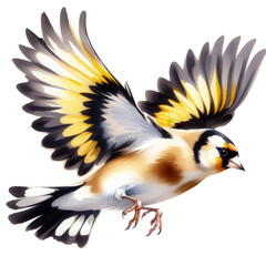 Obraz premium Painted Goldfinch in Flight