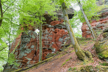 The Path road along red rock formations reserve Altschlossfelsen in the Saarland region of Germany...