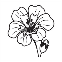 Gaura Flower Bloom in Soft Natural Light