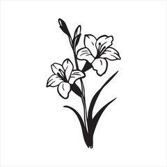 Gladiolus Flower Closeup in Soft Natural Light