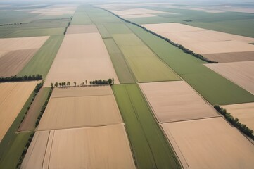 Aerial Panorama of Agricultural Fields in Linear Grid Pattern – Vast Farmland Landscape with Green and Tan Crops