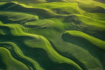 Rolling Green Hills at Sunset – Aerial Landscape of Agricultural Farmland