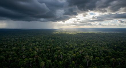 Obraz premium Rainforest with Storm Clouds and Sun Rays