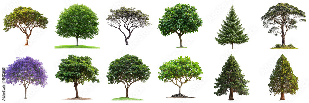 Poster diverse collection of various tree species showcasing unique shapes, colors, and textures against a 