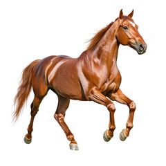 Obraz premium Majestic chestnut horse galloping through green pasture under a clear blue sky showcasing its strength, grace, and beauty in natural environment