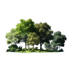Fototapeta premium A group of trees on a black background