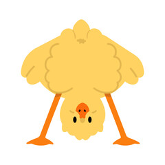 Illustration of Chick Standing Upside Down