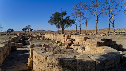 L'area archeologica di Thelepte con i resti dell'antico insediamento Romano.Feriana, Tunisia