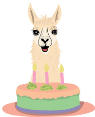 Andean animal and Birthdat Cake