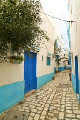 La Medina fortificata di Bizerta affacciata sul porto turistico della città sul Mar Mediterraneo....