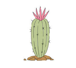 Single Hand-Drawn Cactus Vector Desert Plant, Succulent, Mexico Element. Exotic botanical spiny element.