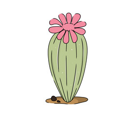 Single Hand-Drawn Cactus Vector Desert Plant, Succulent, Mexico Element. Exotic botanical spiny element.