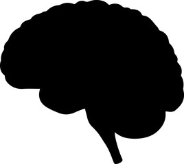 Human Brain Silhouette: Anatomy and Intellect vector