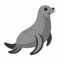Seal vector on white background