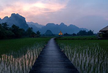 Holzweg durch Reisfeld in Vang Vieng in Laos, am Ende des Weges steht eine kleine Strohhütte vor...