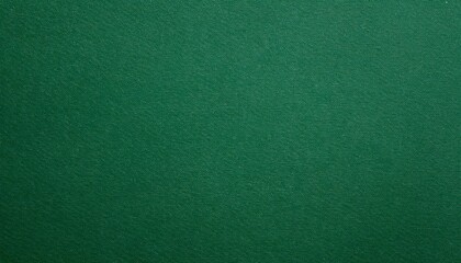 Fototapeta premium pine green paper texture