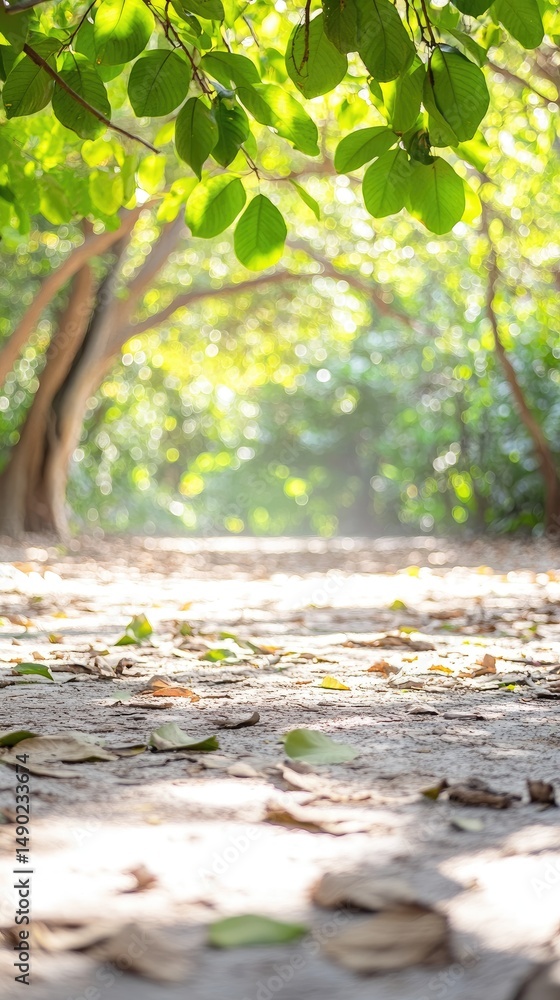 Poster path through verdant forest tunnel ground level view