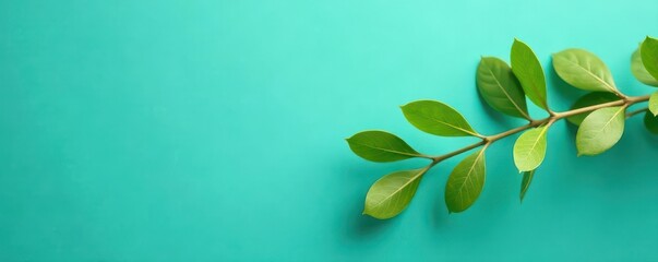 Vibrant green eucalyptus sprigs against a bright cyan backdrop , fresh, visual, aesthetic