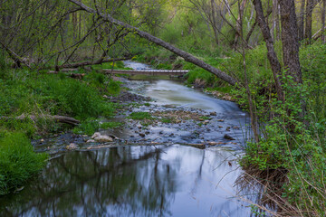 An Evening Creek Scene In The Woods During Spring with A Footbridge