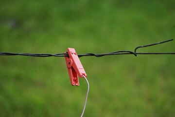 Klamra dająca napięcia do ogrodzenia.  Elektryczny pastuch, drut pod napięciem. © Adam