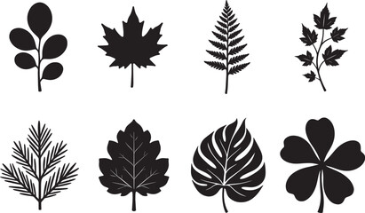 set of leaves