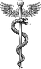 Rod of Asclepius staff medical symbol. Snake around rod or wooden staff. Often mistakenly called Caduceus. Doctor medicine and health care icon. Vintage woodcut etching style. Also features wings.