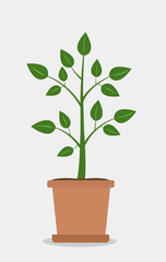 Beautiful green tree, plant in ceramic pot on gray background. Vector illustration on gray background. Tree perfect for home decor and botanical theme.